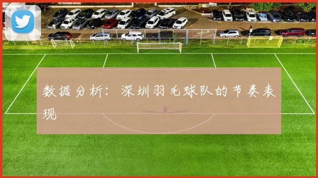 数据分析：深圳羽毛球队的节奏表现