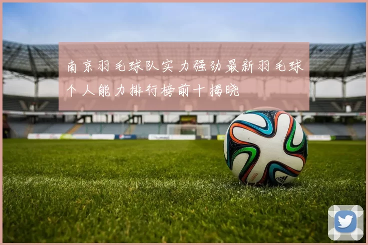 南京羽毛球队实力强劲最新羽毛球个人能力排行榜前十揭晓