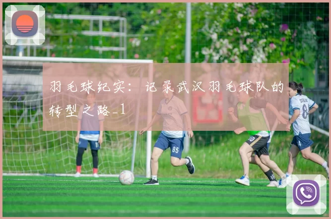 羽毛球纪实：记录武汉羽毛球队的转型之路_1
