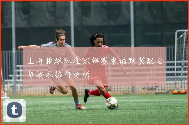 上海排球队在欧锦赛中的默契配合与战术执行分析